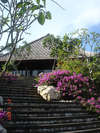 Bvlgari Resort 